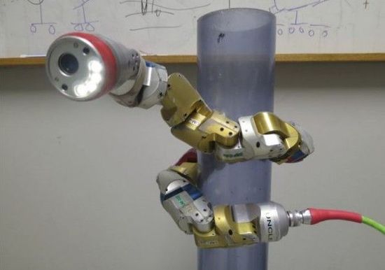 美高校研制新型機器蛇 可潛伏樹上執(zhí)行偵察任務