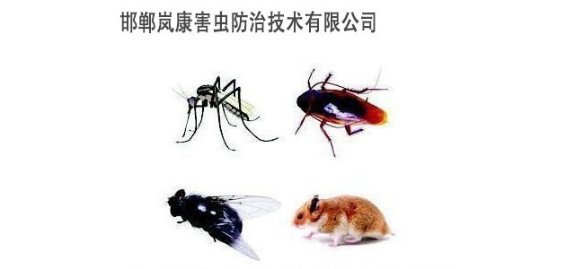 邯鄲消殺公司，邯鄲殺蟲公司，邯鄲蟲控專家公司